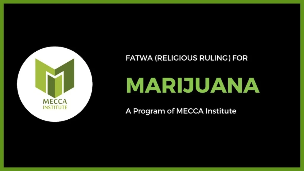 Marijuana Program at MECCA Institute